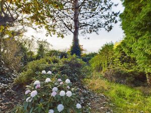 Garden- click for photo gallery